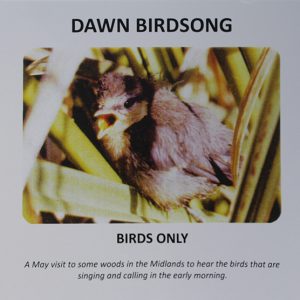 Dawn Birdsong Only