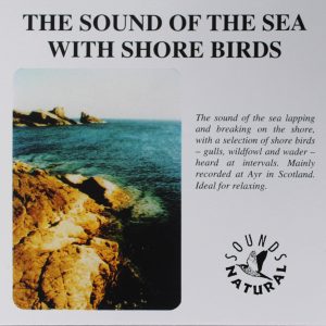 The Sound Of The Sea with Birds