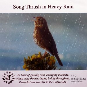 Heavy Rain with Song Thrush SN BTA 002