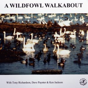 A Wildfowl Walkabout at Slimbridge